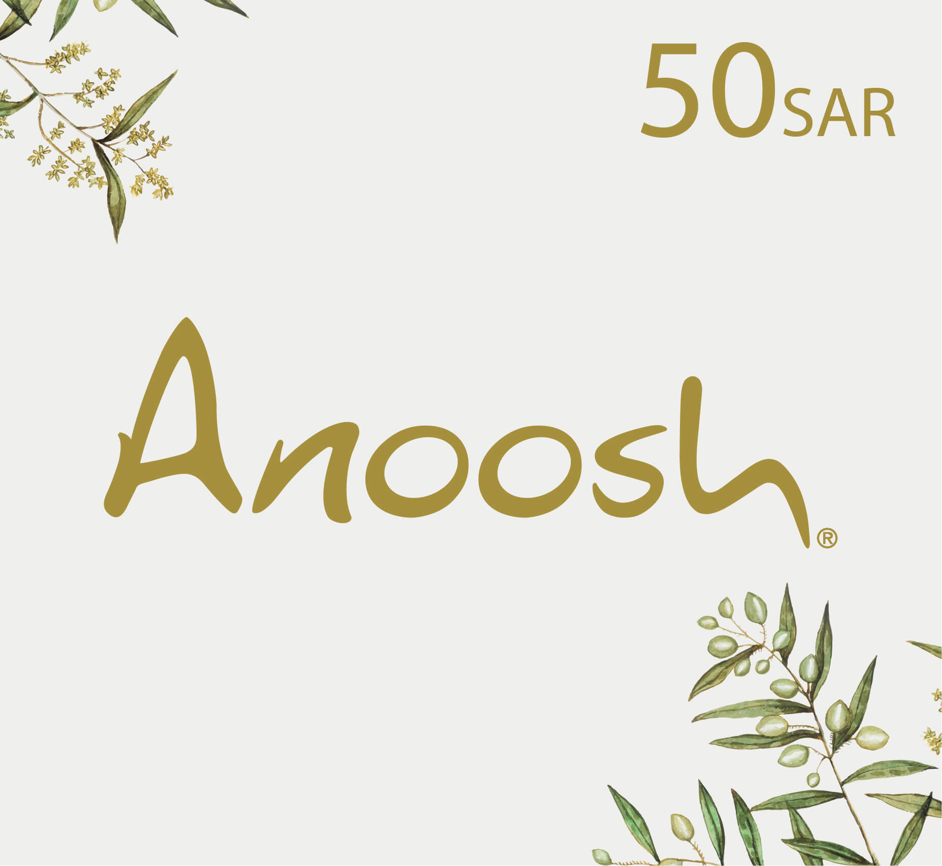 شراء بطاقة هدايا أنوش Anoosh - قسيمة شراء أنوش - 50 ريال