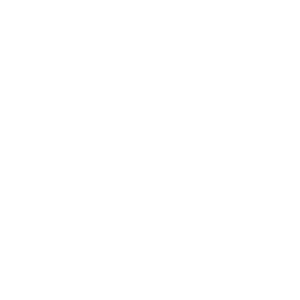 saudi arabia flag