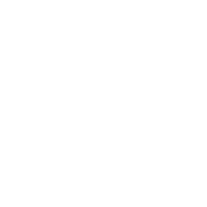 saudi arabia flag