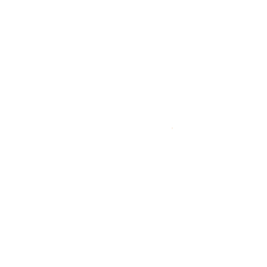 saudi arabia flag