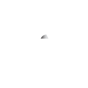 saudi arabia flag