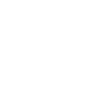 saudi arabia flag